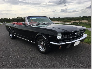 64 1 2 Mustang Convertible フォード マスタング 中古車をお探しならマスタング専門店ワイケーモーター