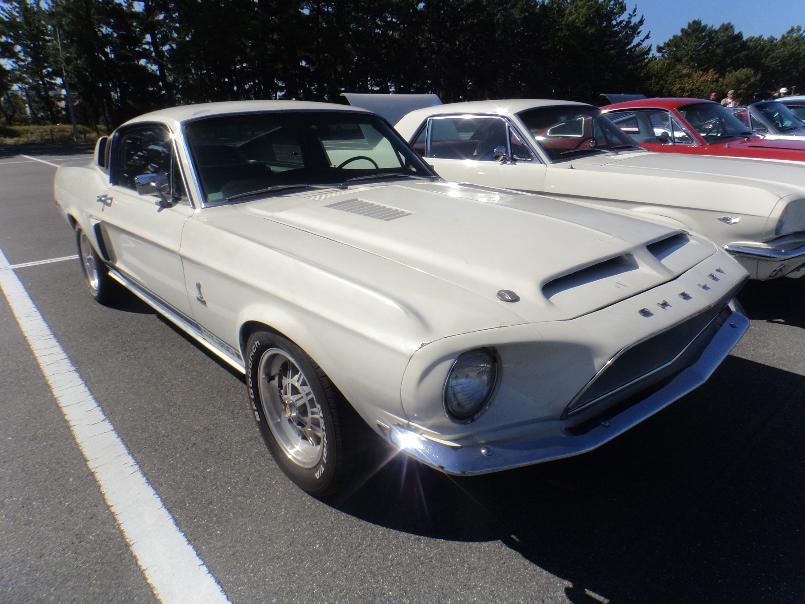 SHELBY GT-350（REAL） | フォード、マスタング・中古車をお探しなら