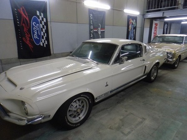 SHELBY GT-350（REAL） | フォード、マスタング・中古車をお探しなら