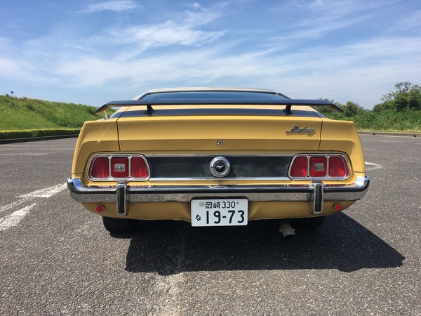 FORD MUSTANG SPORTSROOF | フォード、マスタング・中古車をお探しなら