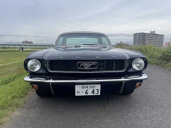 FORD MUSTANG COUPE | フォード、マスタング・中古車をお探しならマスタング専門店ワイケーモーター