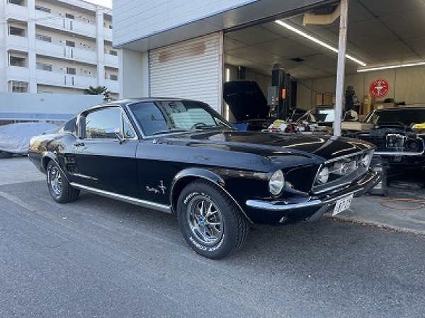 FORD MUSTANG FASTBACK | フォード、マスタング・中古車をお探しならマスタング専門店ワイケーモーター