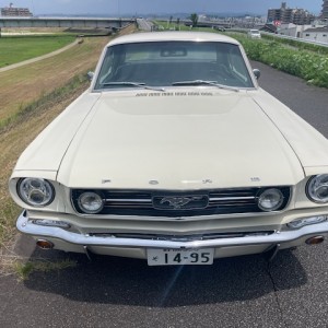 FORD MUSTANG COUPEのサムネイル